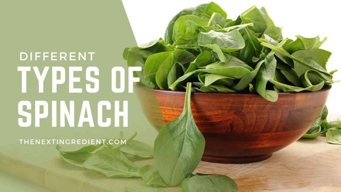 Different Types of Spinach