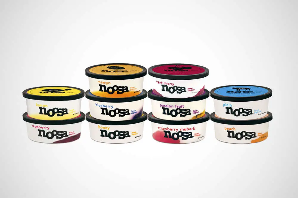 Different Types Of Yogurt 4 Types of Yogurt