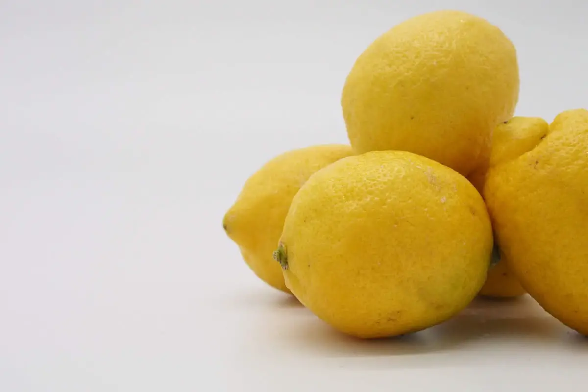 Different Types Of Lemons 21 Bonnie Brae Lemon