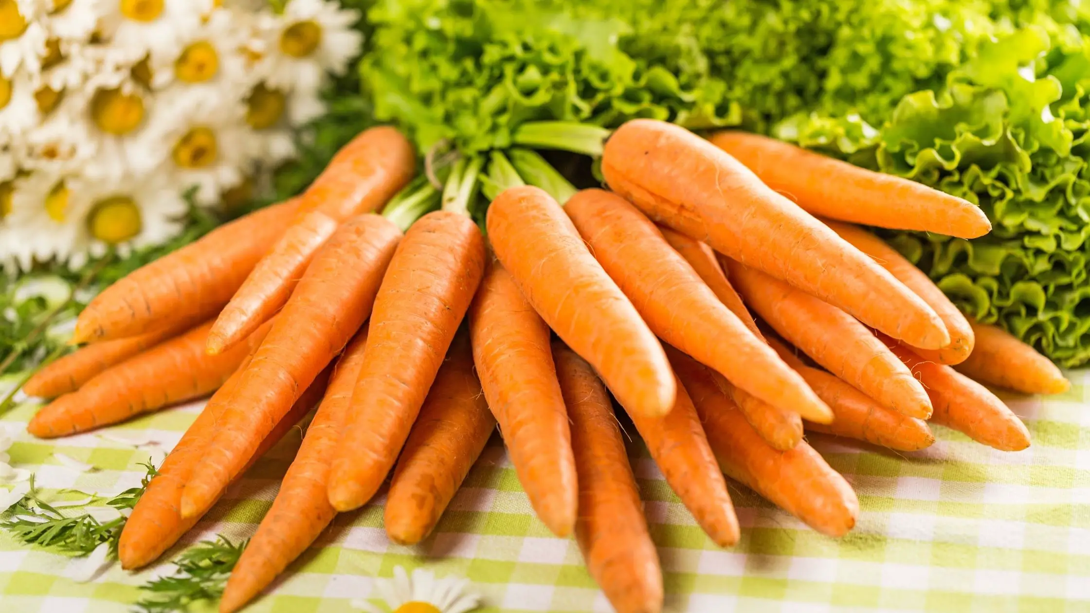Different Types Of Carrots 3 Types of Carrots