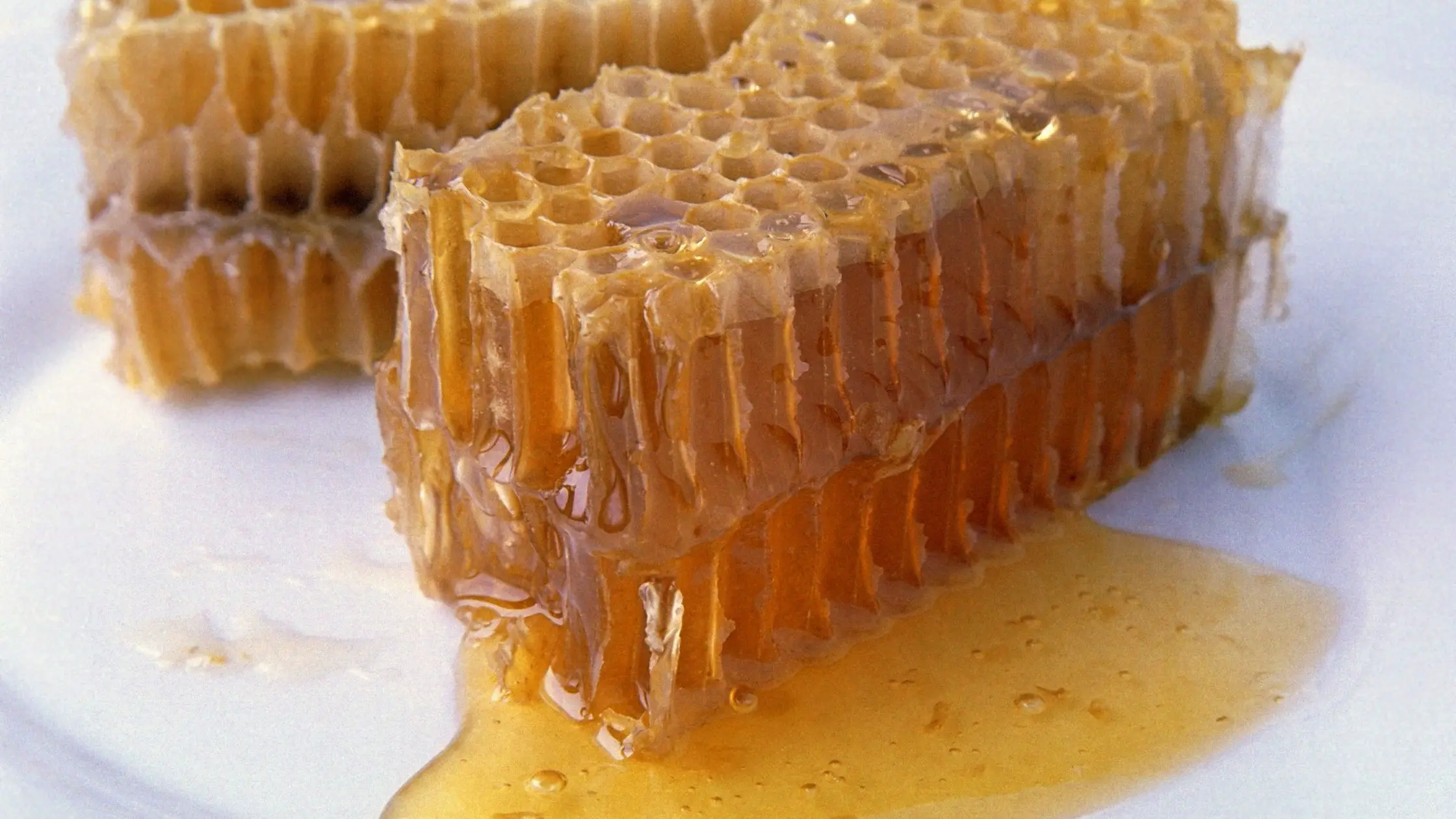Different Types Of Honey 4 Types of Honey