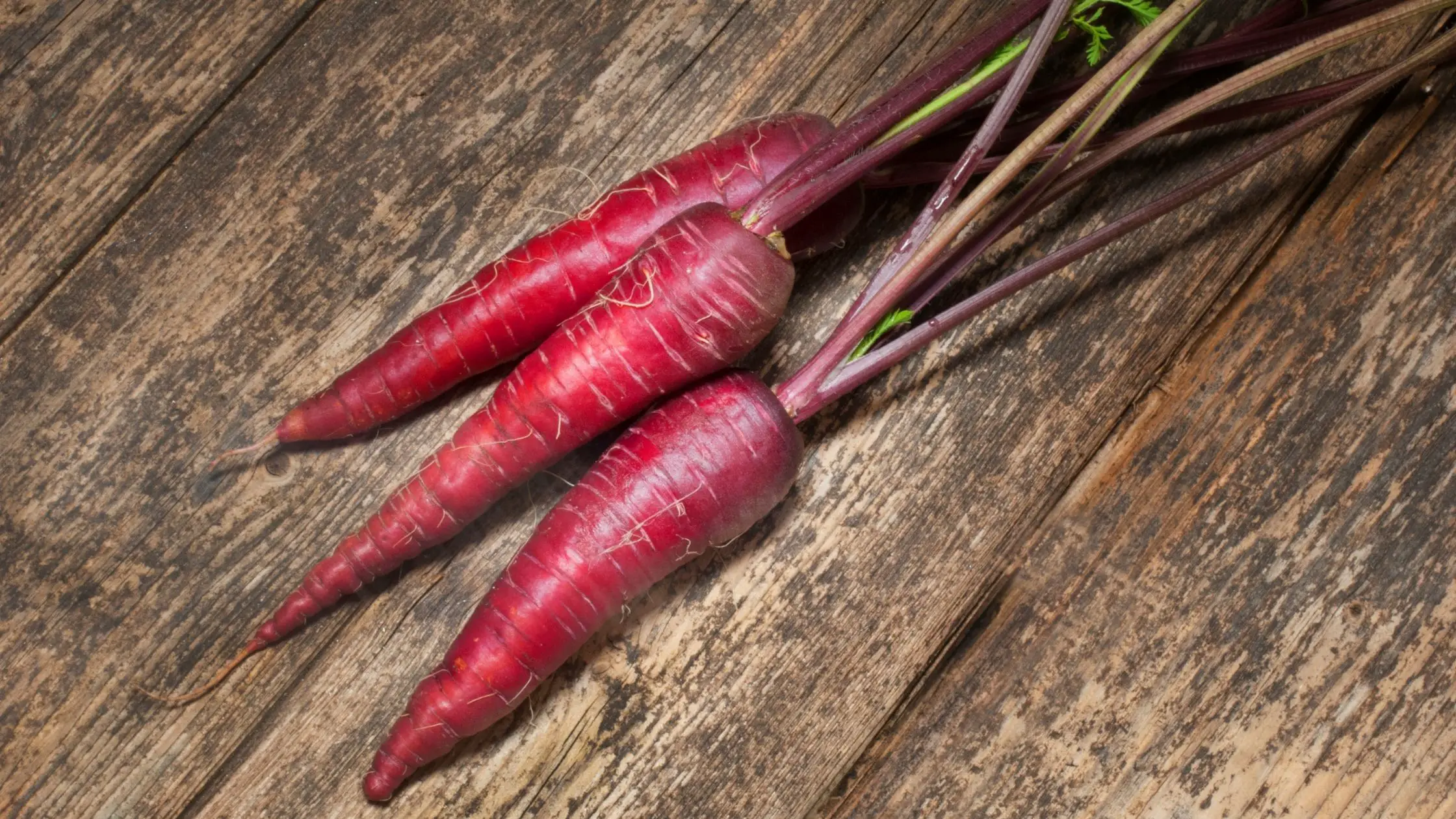 Different Types Of Carrots 9 Types of Carrots