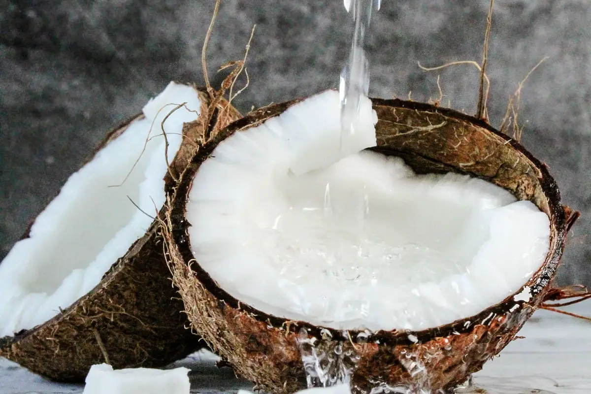 Different Types Of Coconuts 12 different coconuts
