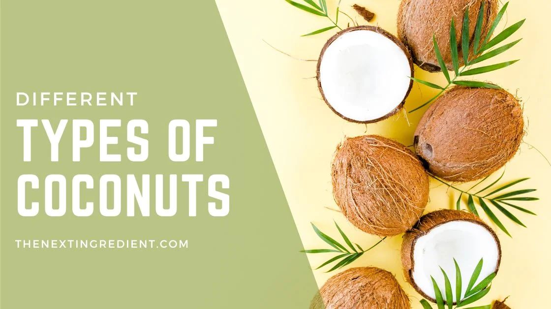 Different Types Of Coconuts