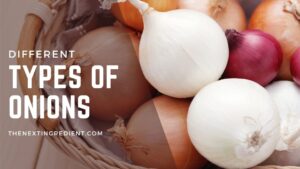 Different Types Of Onions