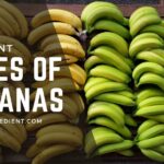 Different Types of Bananas