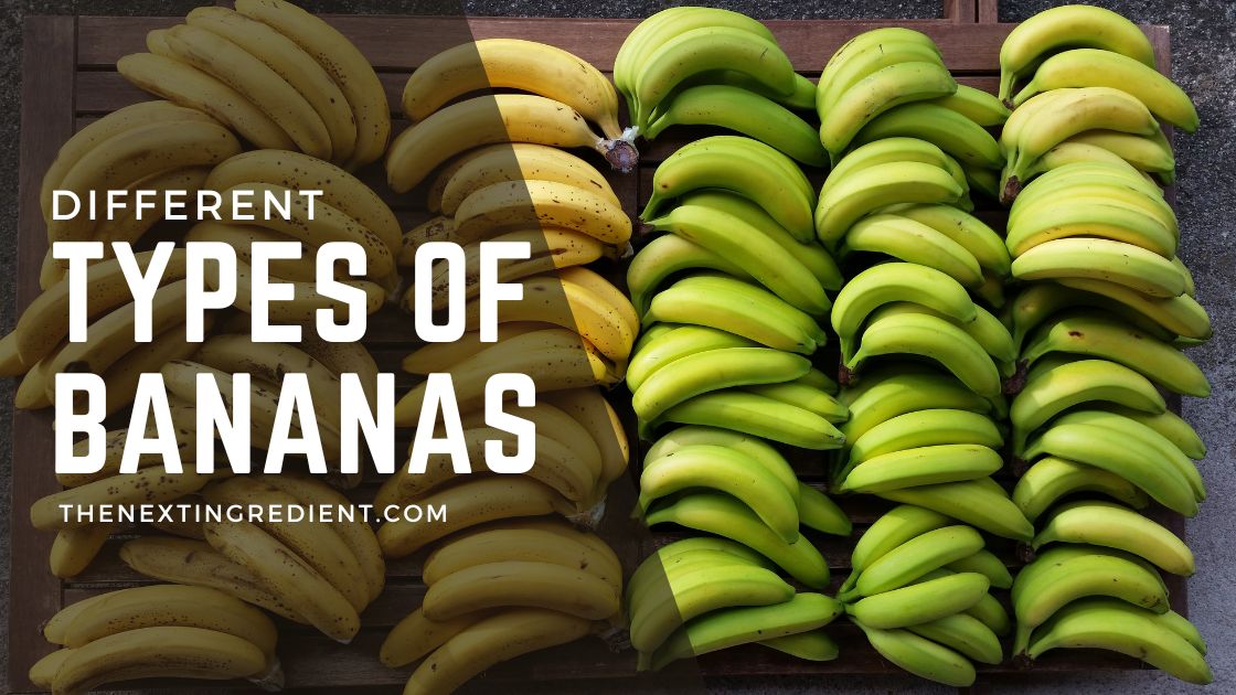 Different Types of Bananas