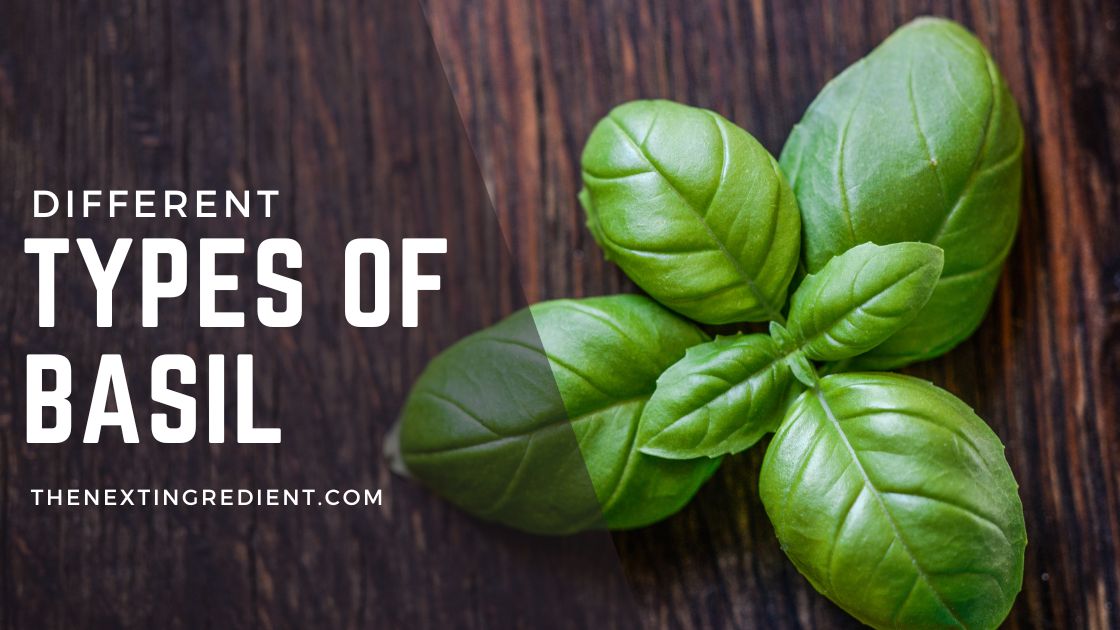 Different Types of Basil