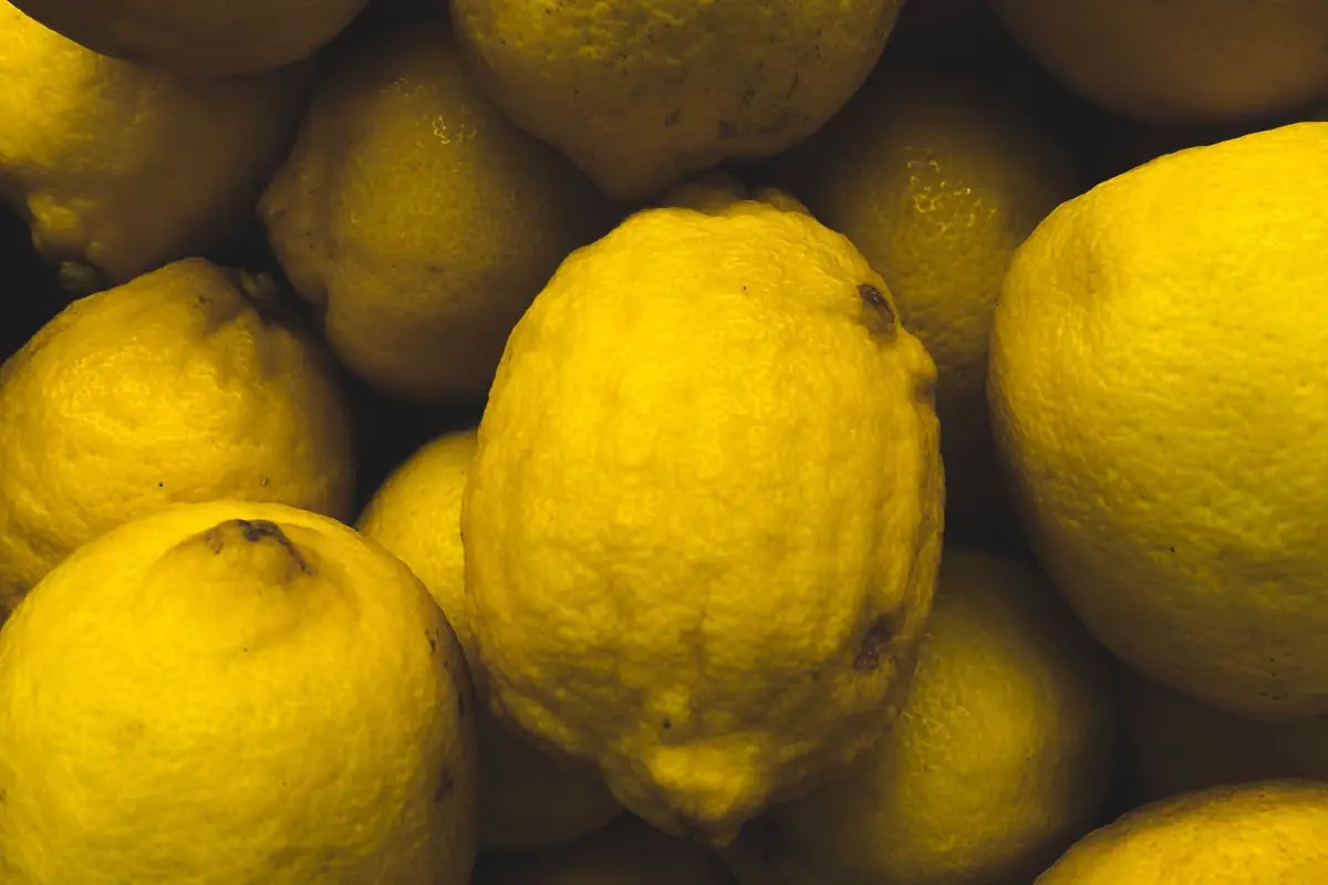 Different Types Of Lemons 27 Jhambiri Lemons
