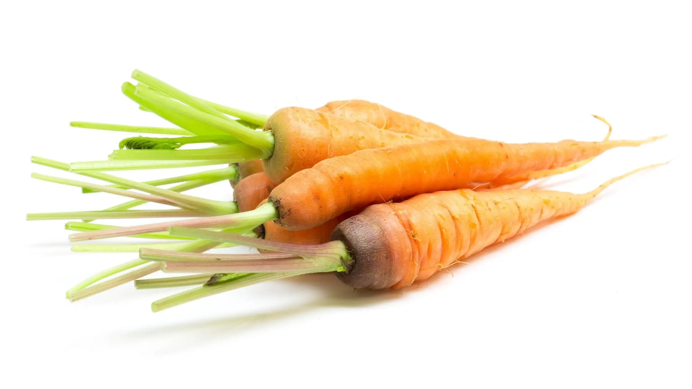 Different Types Of Carrots 11 Types of Carrots