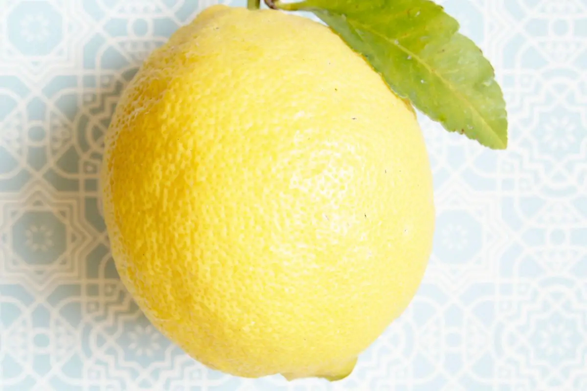 Different Types Of Lemons 29 Lamas Lemon