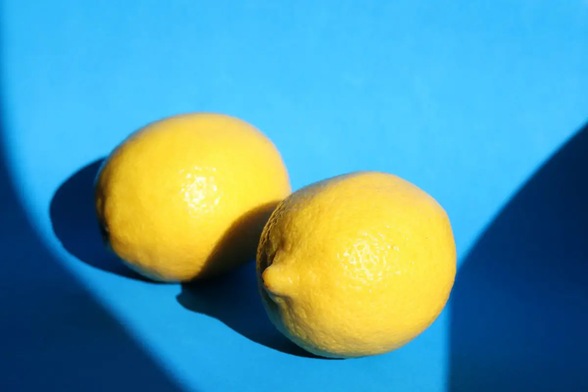 Different Types Of Lemons 30 types of Lemons