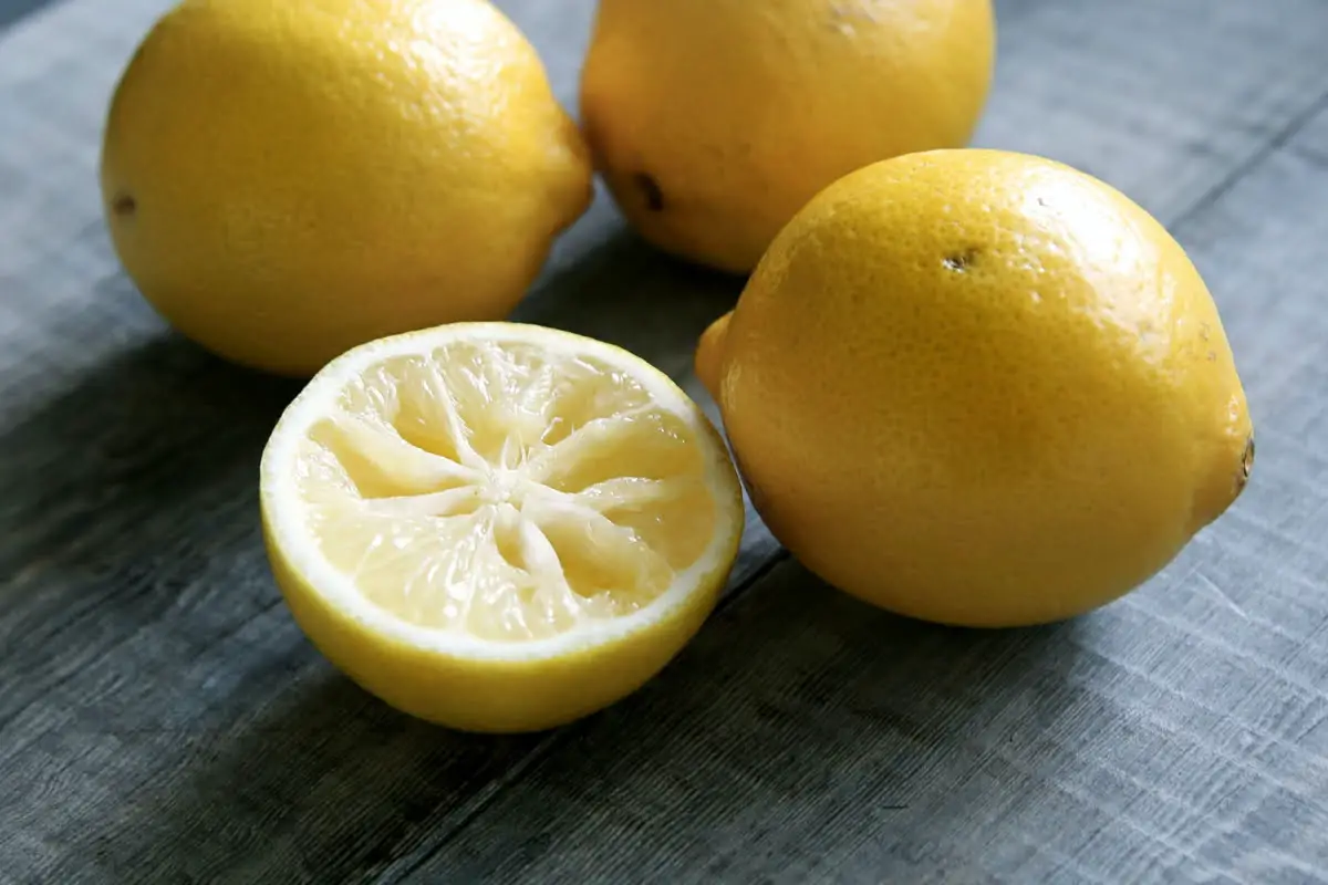 Different Types Of Lemons 12 Lisbon Lemon