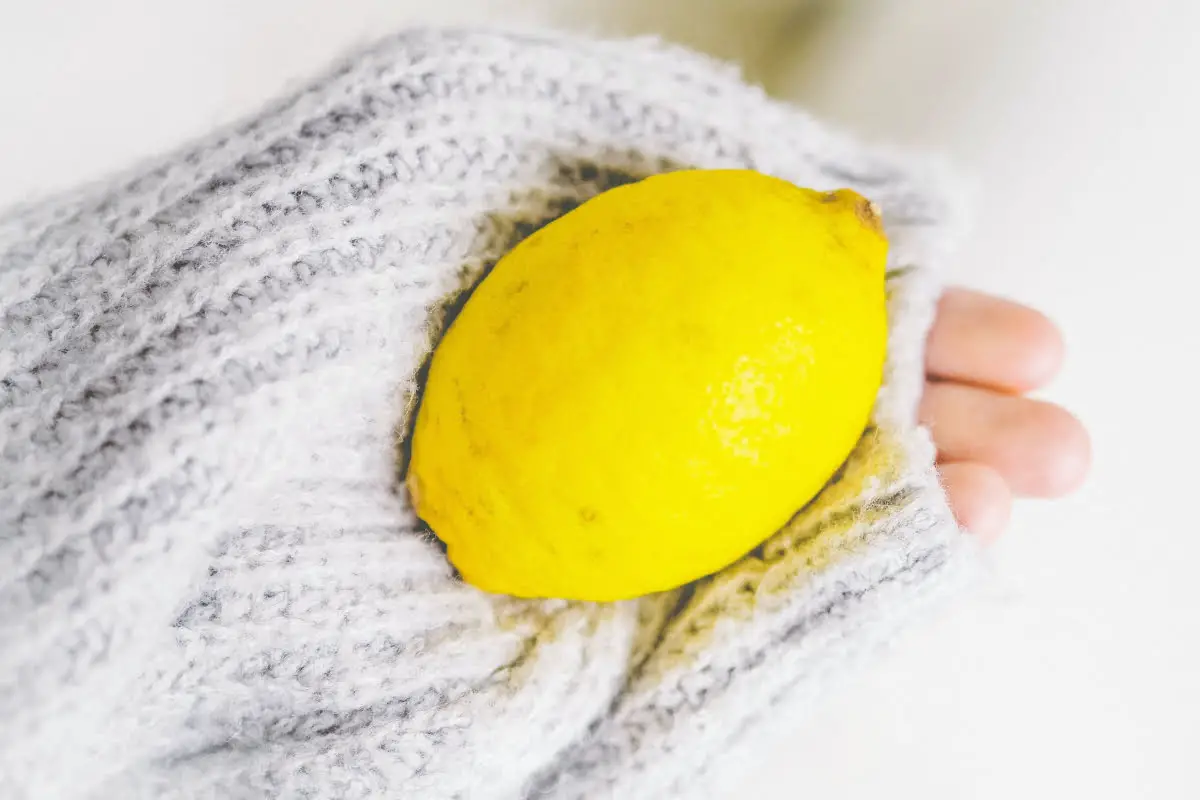 Different Types Of Lemons 32 Nepali Oblong Lemon