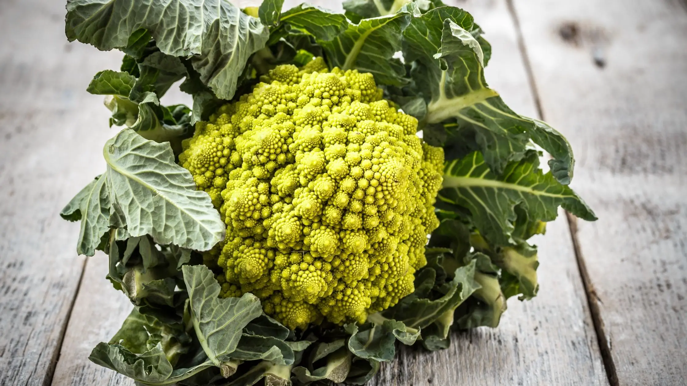 Different Types Of Broccoli 7 Types of Broccoli: