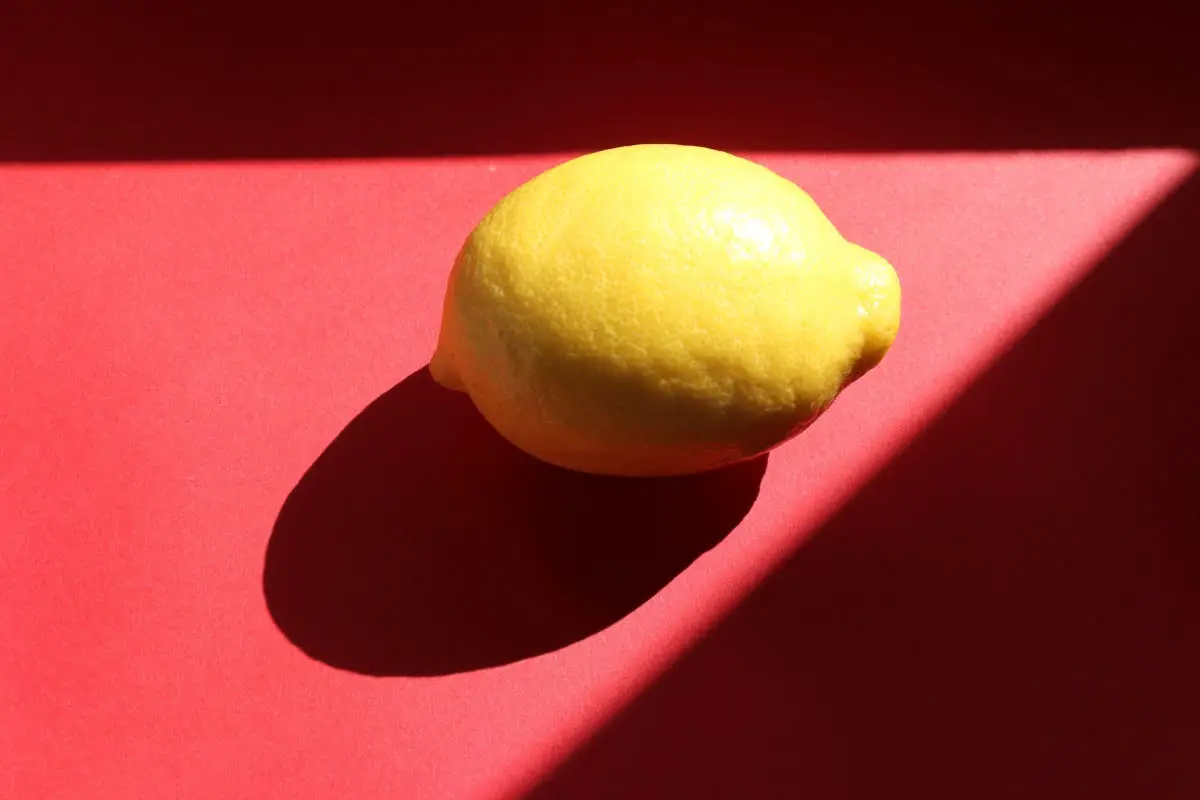 Different Types Of Lemons 18 Verna Lemon