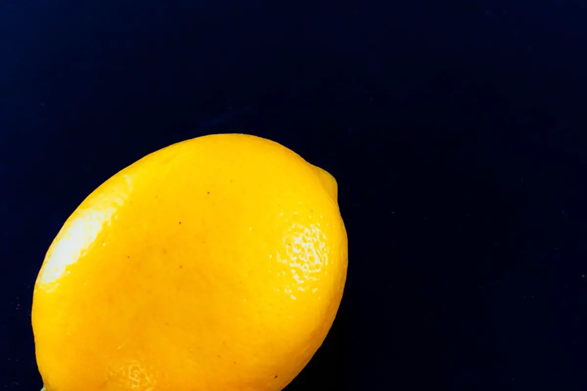 Different Types Of Lemons 36 Types Of Lemons