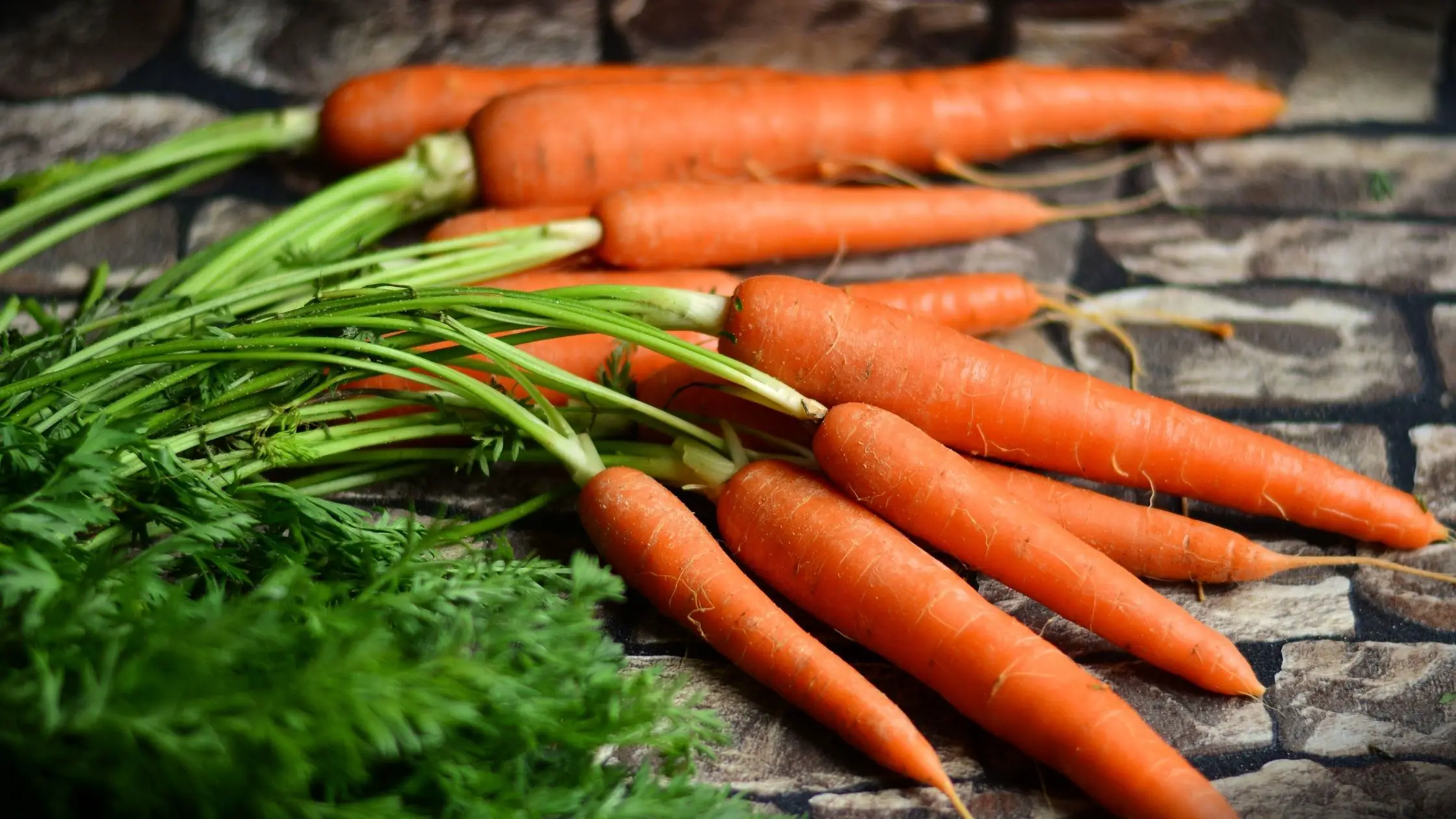Different Types Of Carrots 4 Types of Carrots