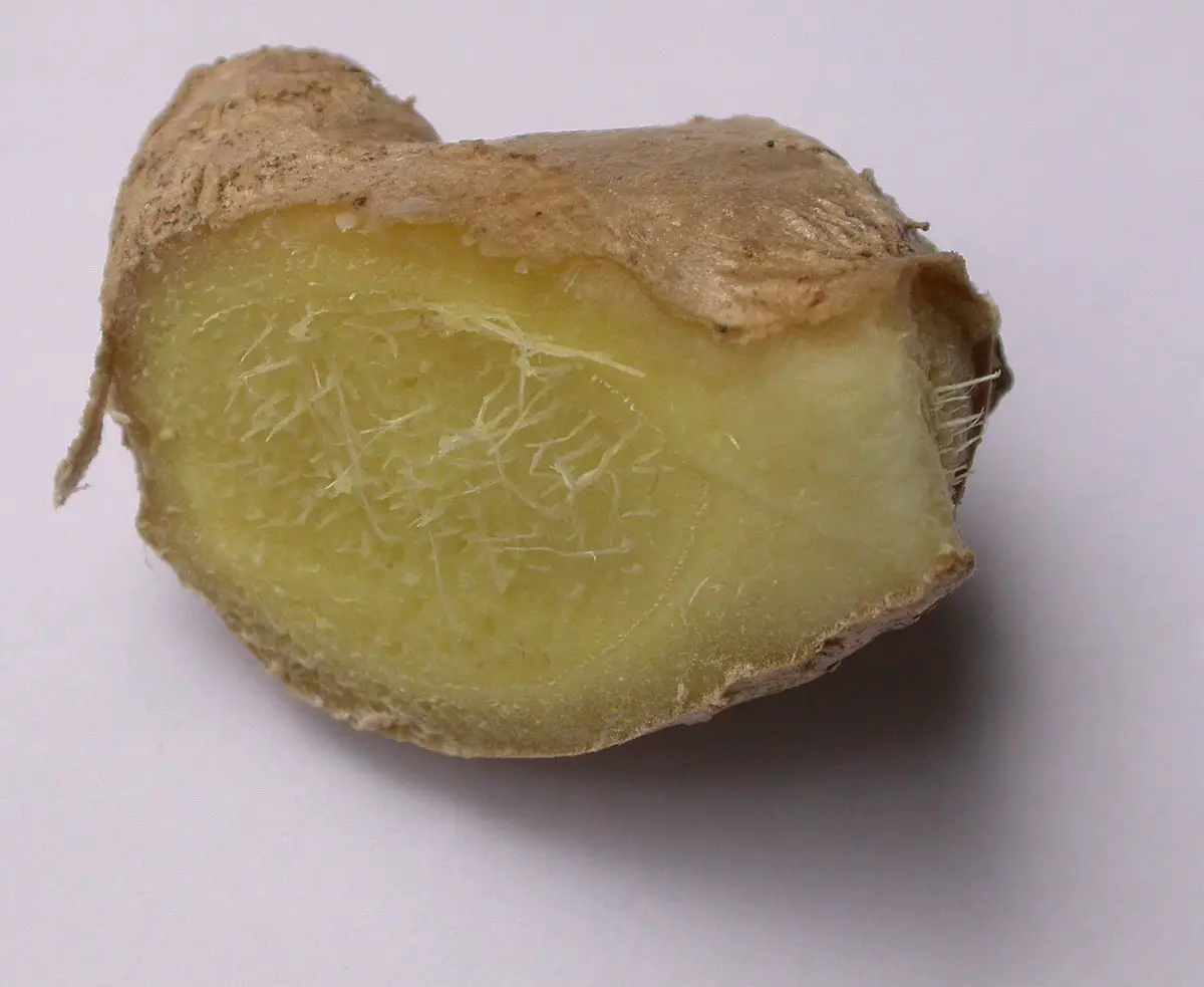 Types Of Ginger Types Of Ginger