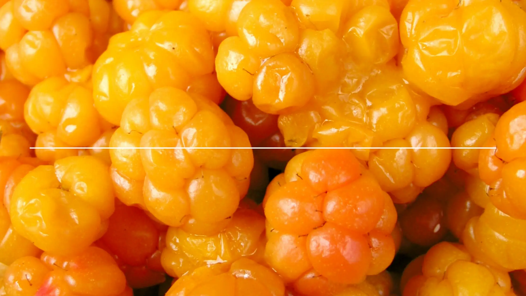 Different Types Of Berries 7 types of berries