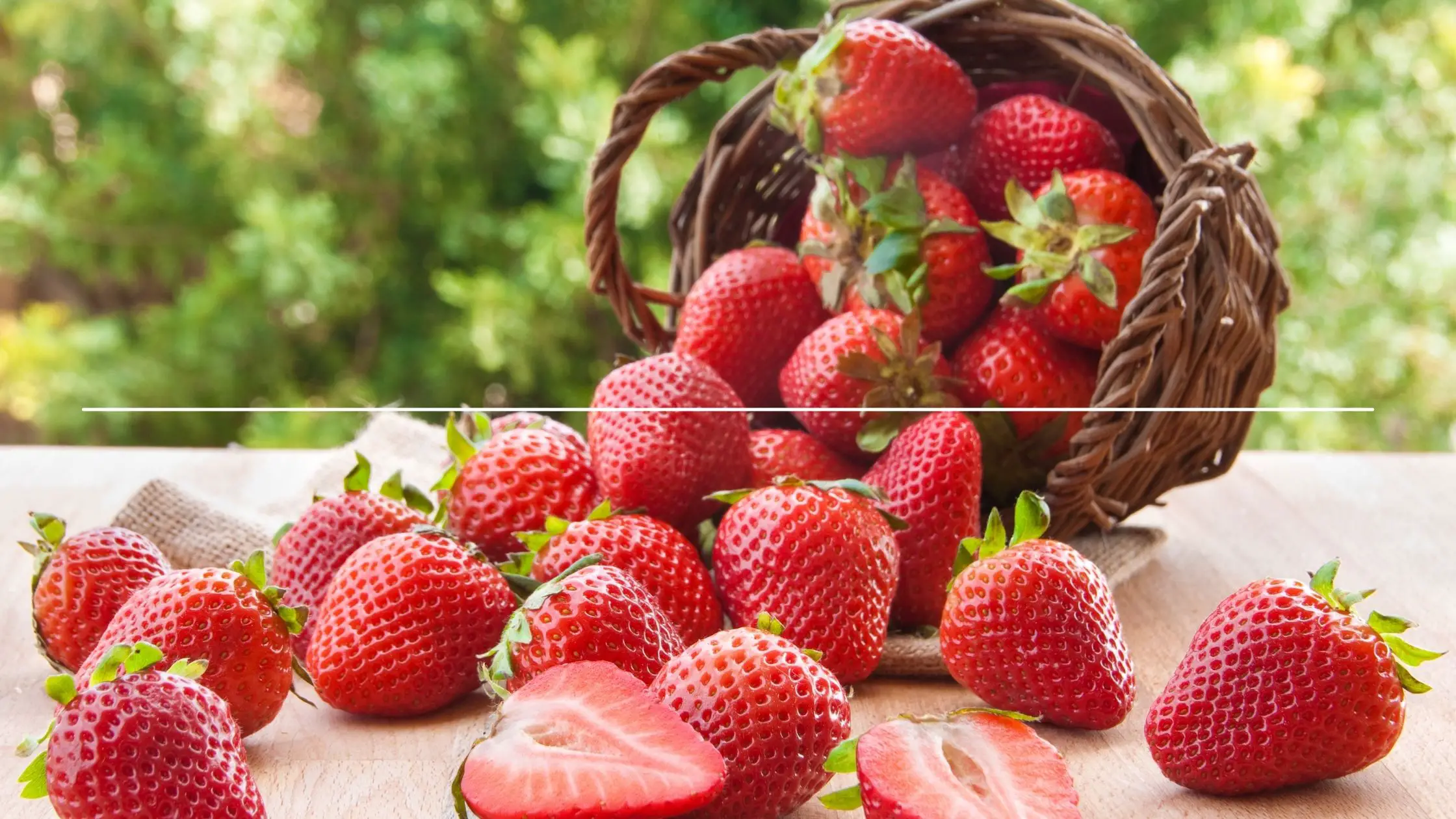 Different Types Of Berries 11 types of berries